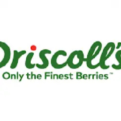Driscoll’s Headquarters & Corporate Office