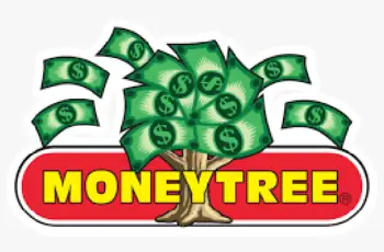 Moneytree Headquarters & Corporate Office