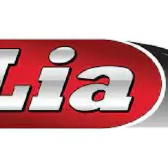 Lia Auto Group Headquarters & Corporate Office