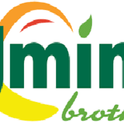 Umina Brothers Headquarters & Corporate Office