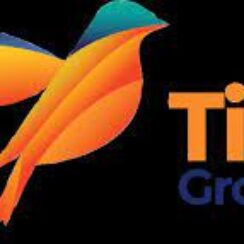 Tingo Group Inc Headquarters & Corporate Office