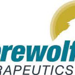 Werewolf Therapeutics Headquarters & Corporate Office